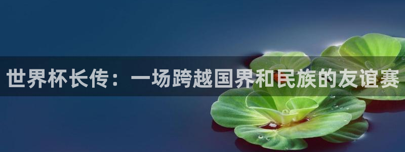 法国杯2026赛程表：世界杯长传：一场跨越国界和民族的友谊赛