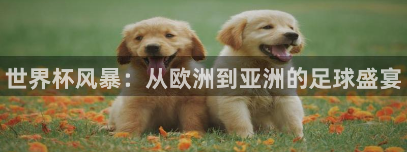 世界杯女足直播：世界杯风暴：从欧洲到亚洲的足球盛宴