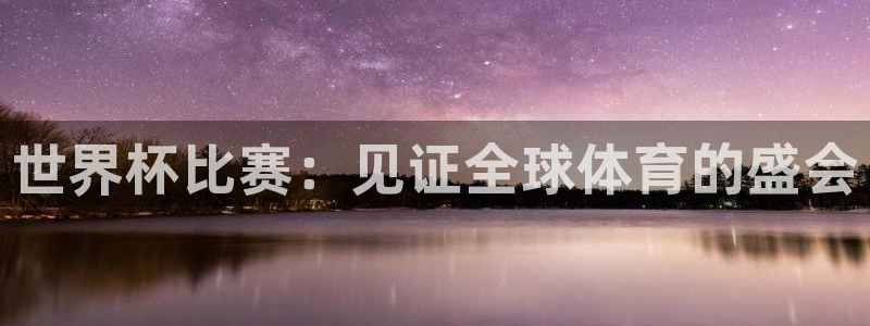 世界杯48支球队赛制：世界杯比赛：见证全球体育的盛会