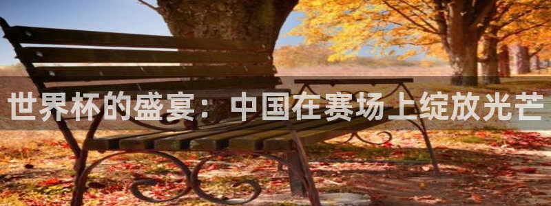 足球世界杯时间：世界杯的盛宴：中国在赛场上绽放光芒