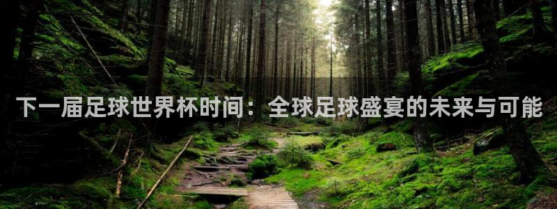 世界杯2026赛程：下一届足球世界杯时间：全球足球盛宴的未来与可能