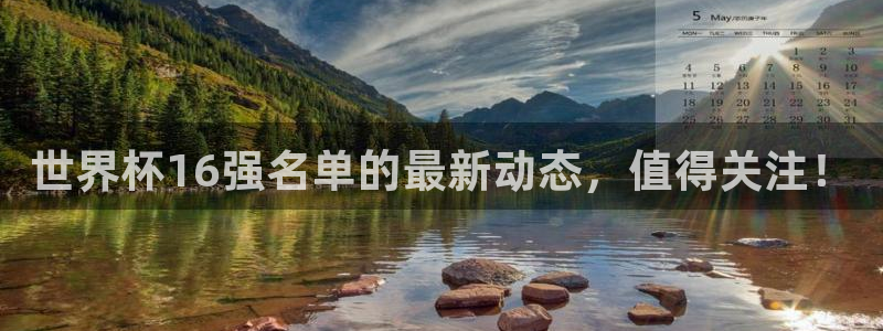 世界杯足球：世界杯16强名单的最新动态，值得关注！