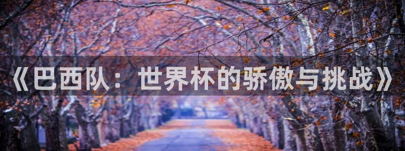 世界杯直播：《巴西队：世界杯的骄傲与挑战》