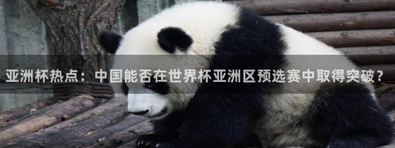 女足世界杯直播在线观看免费高清：亚洲杯热点：中国能否在世界杯亚洲区预选赛中取得突破？