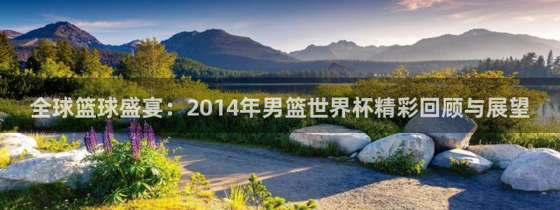 2026世界杯亚洲区预选赛赛程：全球篮球盛宴：2014年男篮世界杯精彩回顾与展望