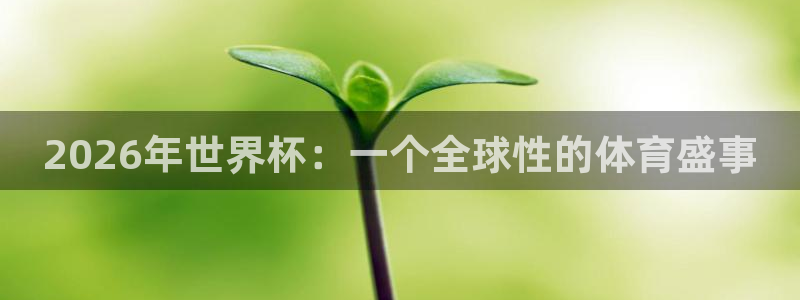 世界杯预选赛赛程表：2026年世界杯：一个全球性的体育盛事