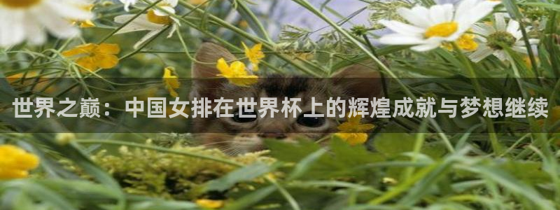 世界杯今年：世界之巅：中国女排在世界杯上的辉煌成就与梦想继续