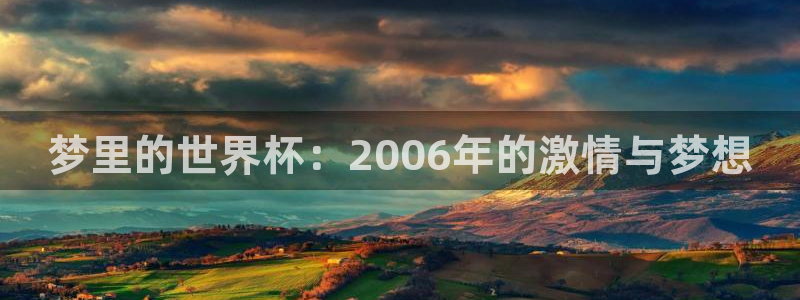 世界杯欧洲区世预赛赛程：梦里的世界杯：2006年的激情与梦想