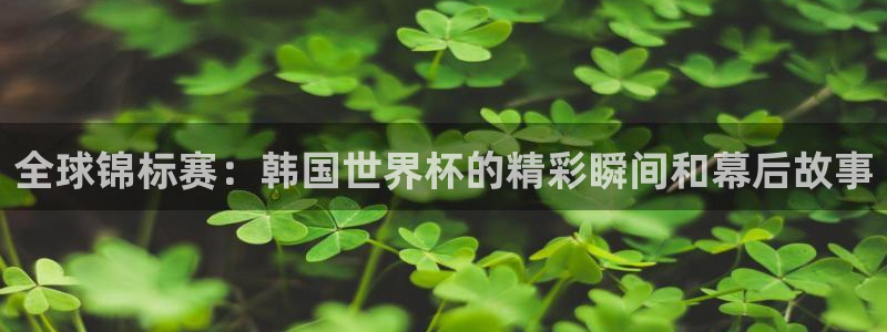 世界杯对阵图2026：全球锦标赛：韩国世界杯的精彩瞬间和幕后故事