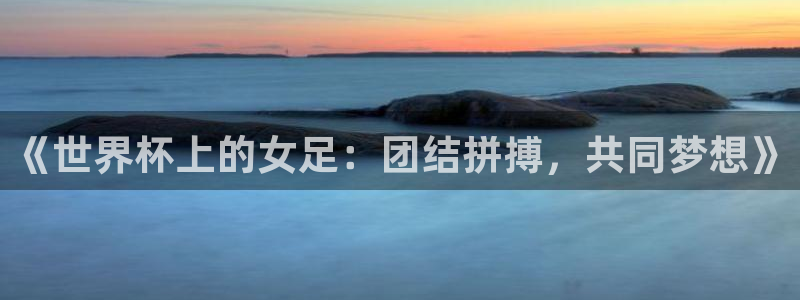 2026世界杯赛：《世界杯上的女足：团结拼搏，共同梦想》