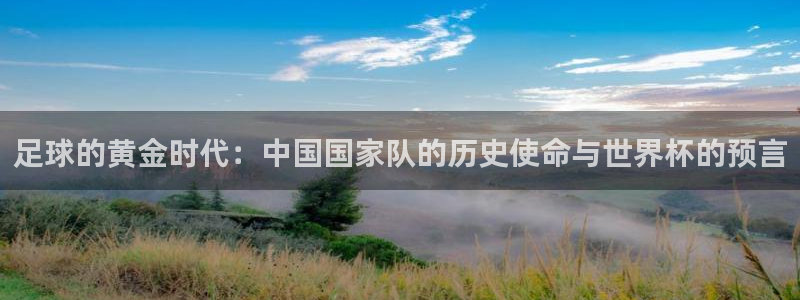 2026世界杯买球：足球的黄金时代：中国国家队的历史使命与世界杯的预言