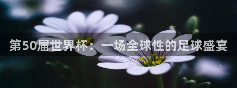 世界杯亚洲区预选赛积分榜：第50届世界杯：一场全球性的足球盛宴