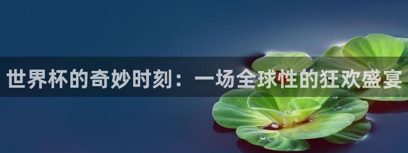 男足世界杯预选赛赛程：世界杯的奇妙时刻：一场全球性的狂欢盛宴