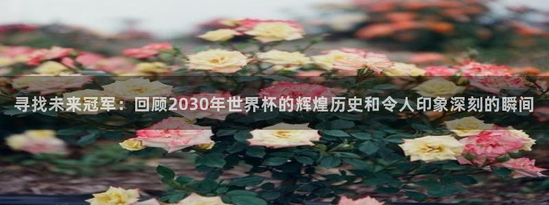 2026世界杯直播：寻找未来冠军：回顾2030年世界杯的辉煌历史和令人印象深刻的瞬间