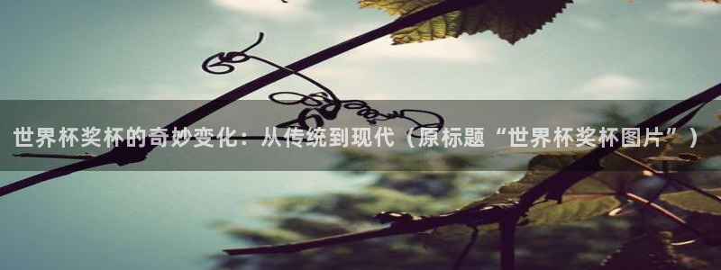 世界杯对阵图2026：世界杯奖杯的奇妙变化：从传统到现代（原标题“世界杯奖杯图片”）